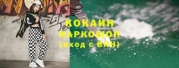 молекула духа Пересвет