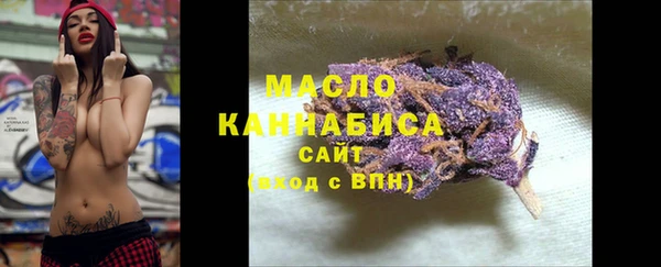 молекула духа Пересвет