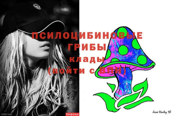 молекула духа Пересвет