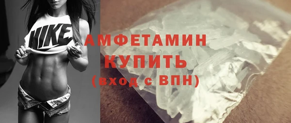 молекула духа Пересвет