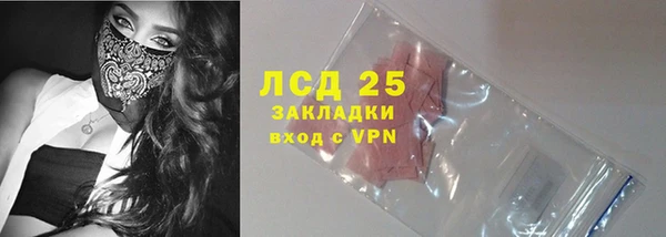 молекула духа Пересвет