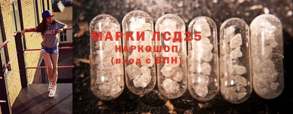 молекула духа Пересвет