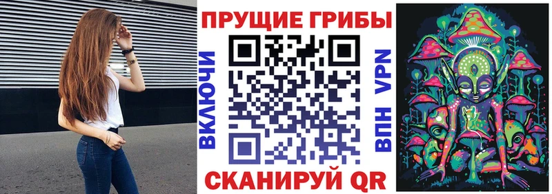 Купить где  Ялуторовск  Галлюциногенные грибы мицелий 